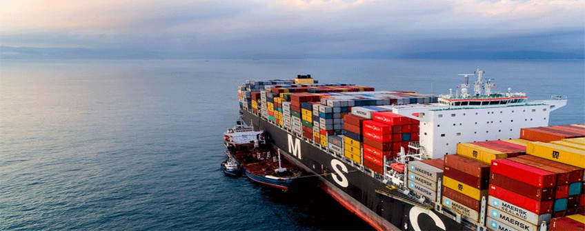 Positive anti-dumping ruling on disposable aluminum containers, pans, trays, and lids in China